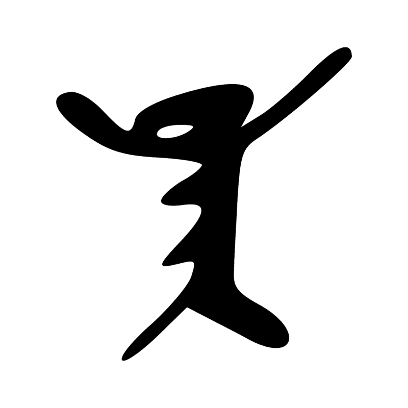 V29 — Balai de fibres