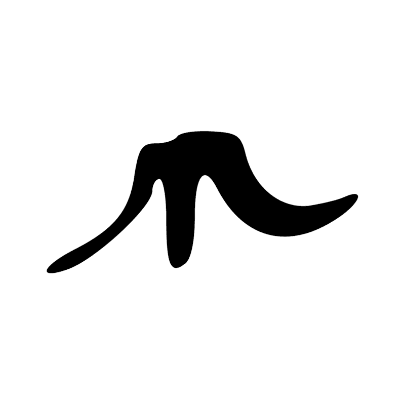 S23 — Morceaux d'étoffes noués ensemble