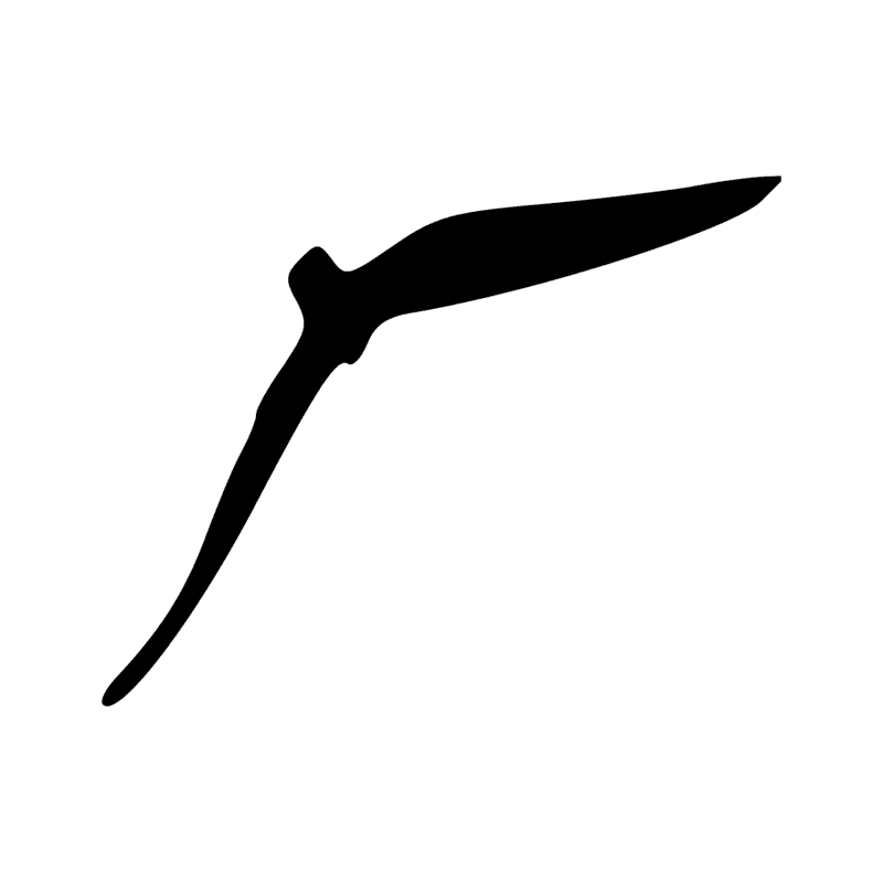 V22 — Fouet