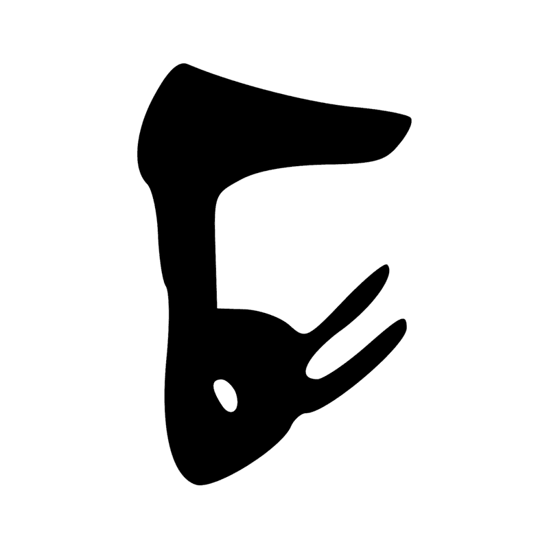 T19 — Tête de harpon en os