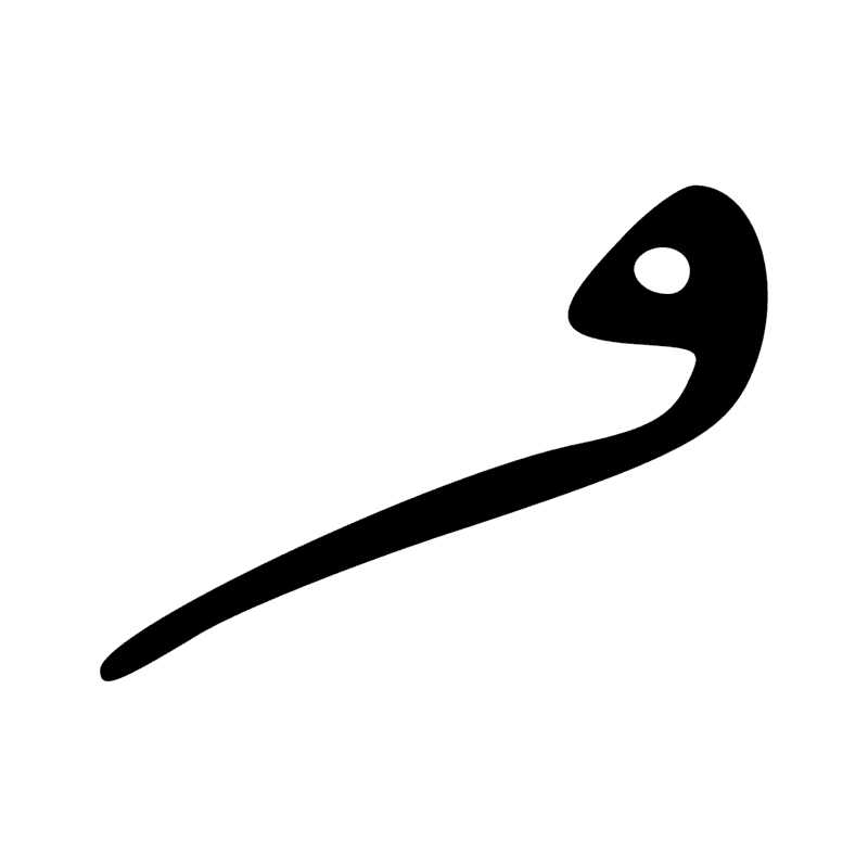V1 — Corde lovée