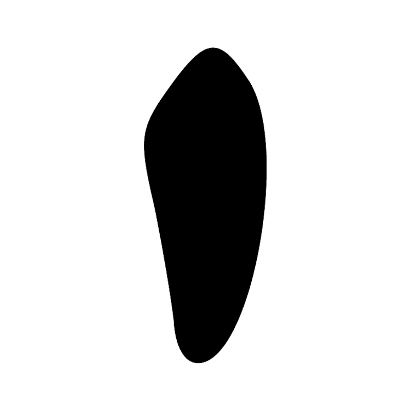 Z1 — Trait