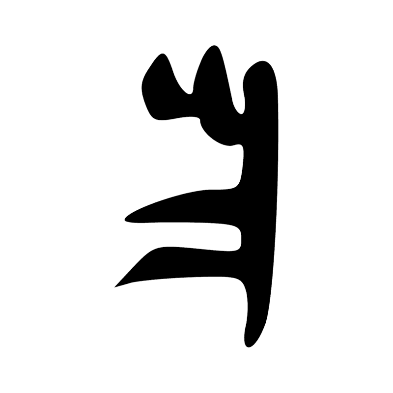 V11 — Section de cartouche