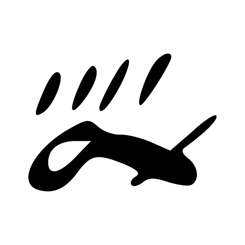 U9 N33