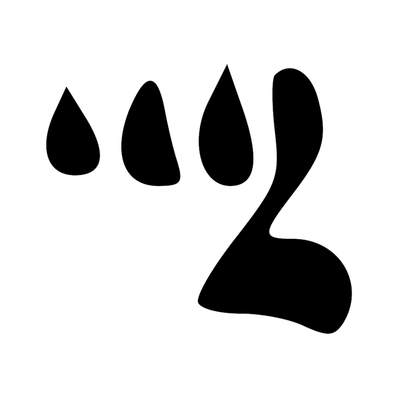 U9 N33-3