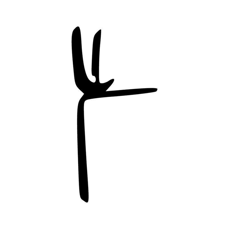 F12 — Tête et cou de canidé