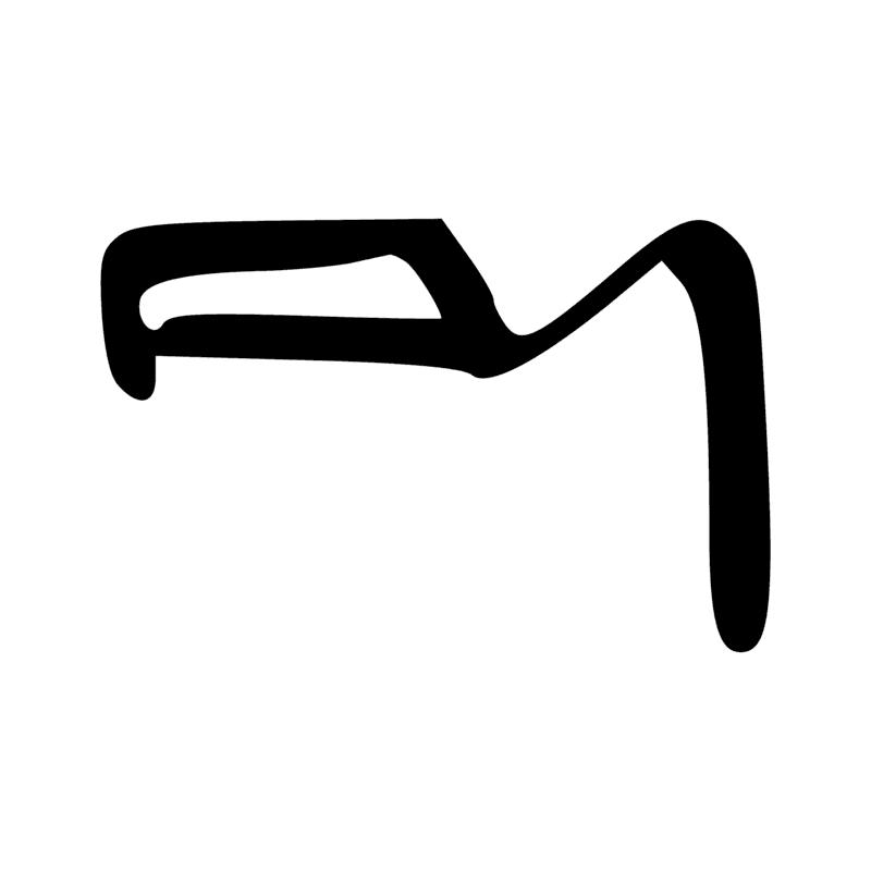 F23 — Membre antérieur de bovin