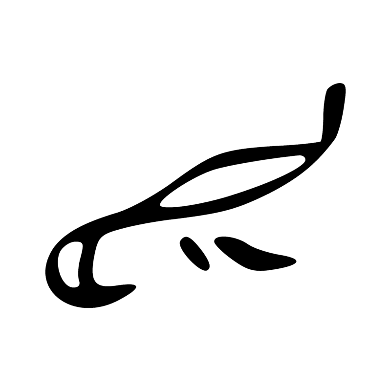 G36 — Hirondelle ou martinet