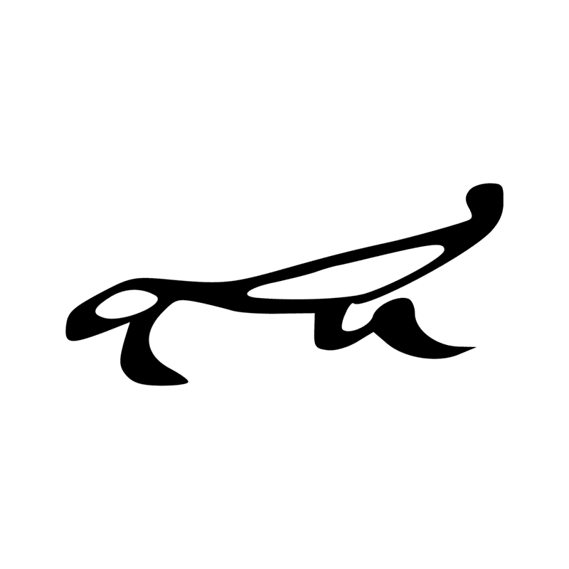 G36 — Hirondelle ou martinet