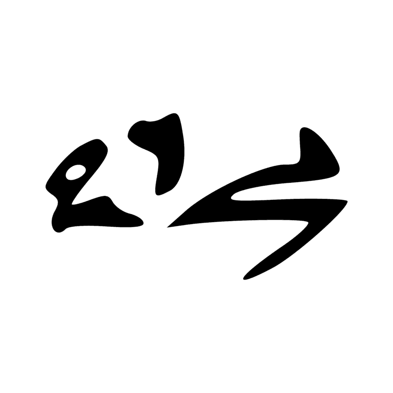 G40 — Canard pilet en vol