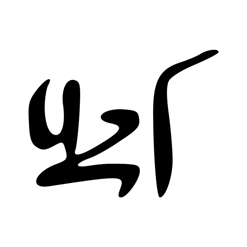 G41 — canard pilet en vol