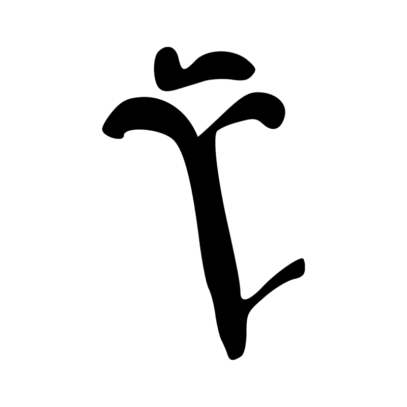 M16 — Touffe de papyrus