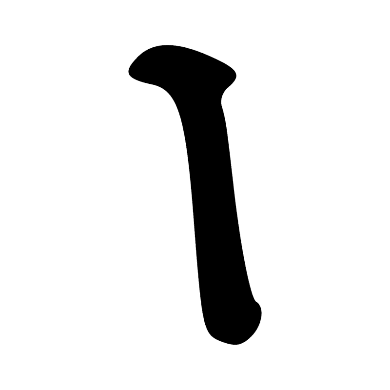 N11 Z1