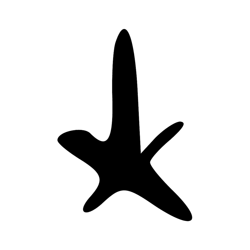 N14 — Etoile