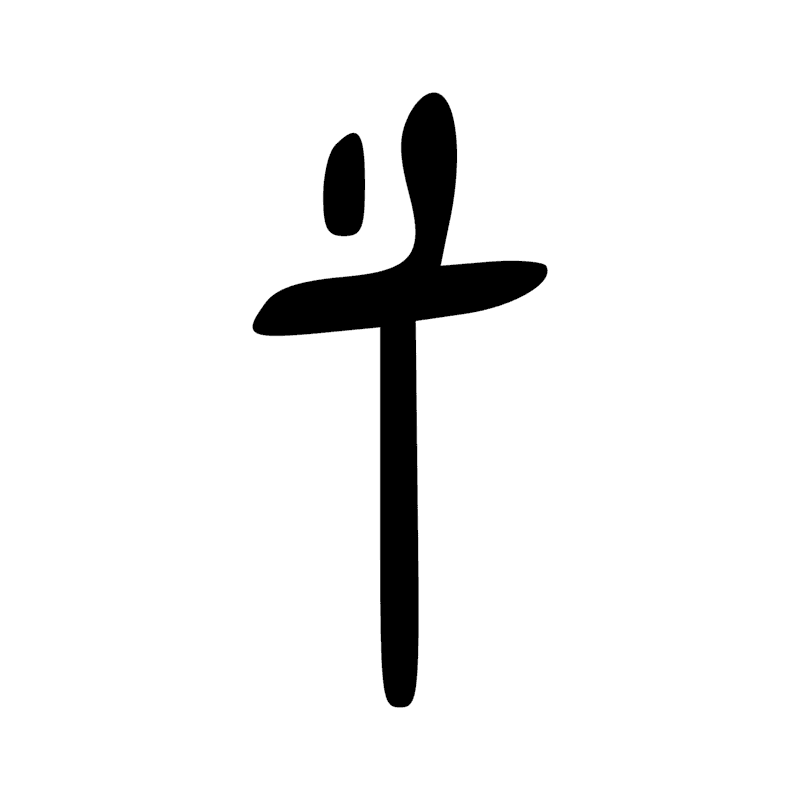 P6 — Mât