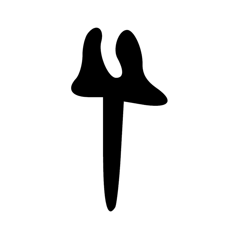 P6 — Mât