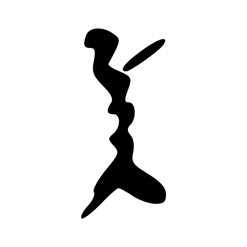 V29 — Balai de fibres