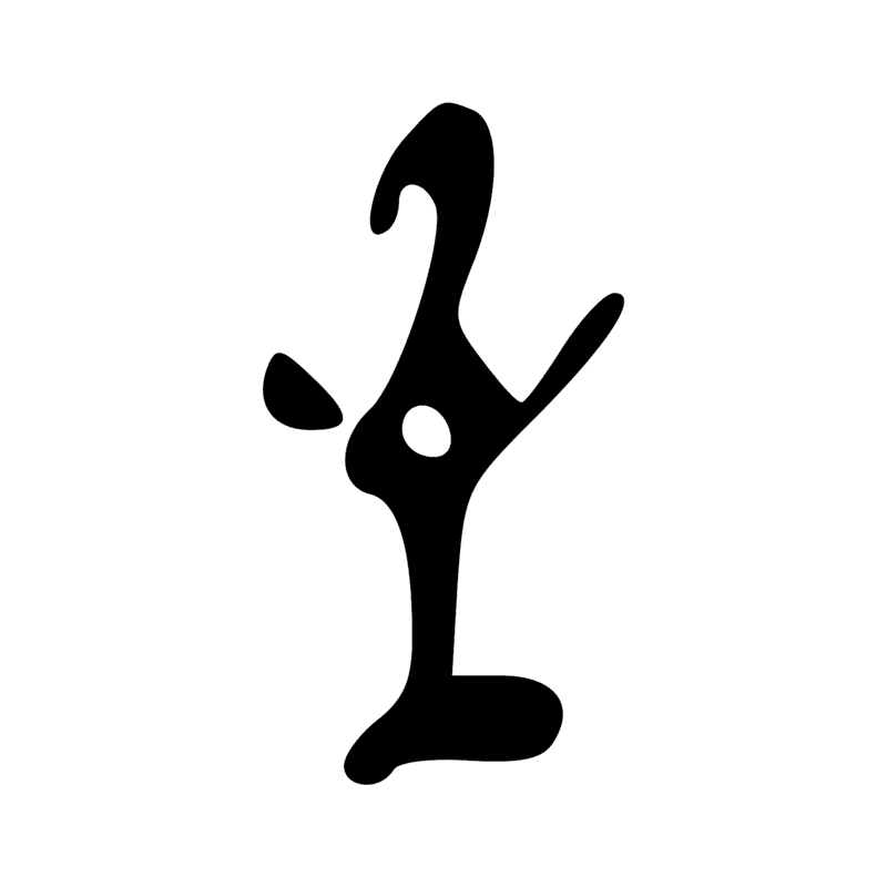 V29 — Balai de fibres