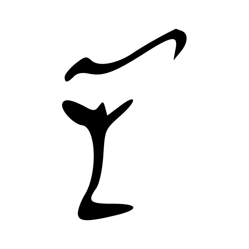 V29 — Balai de fibres