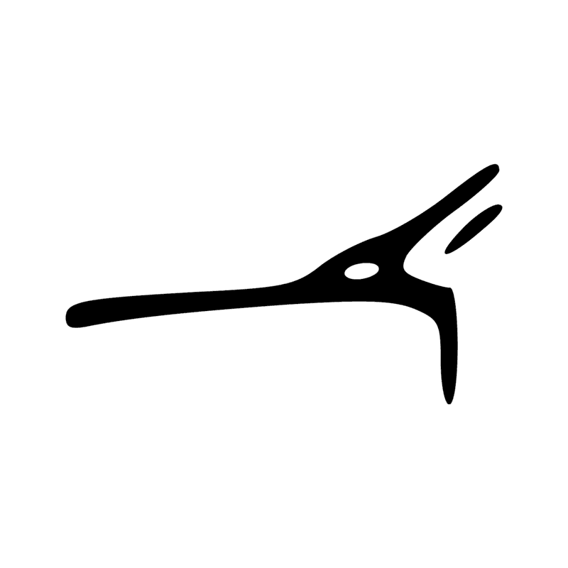 T11 — Flèche