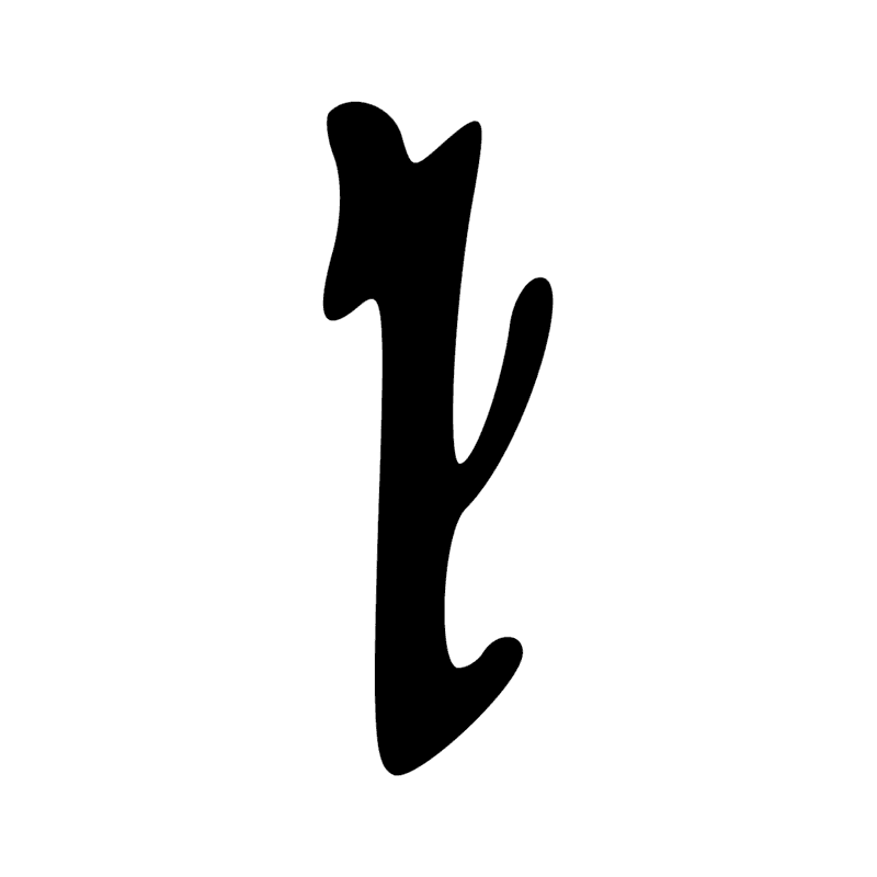 S43 — Bâton de marche