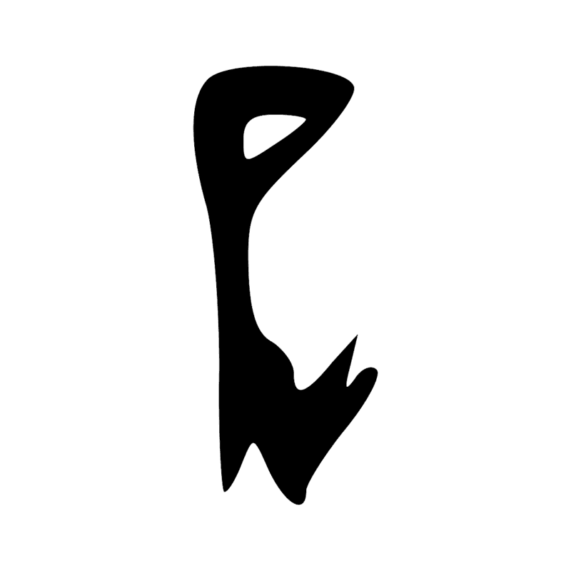 T19 — Tête de harpon en os