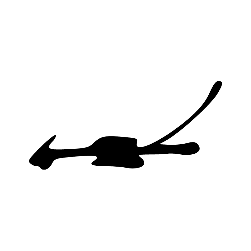 T21 — Harpon