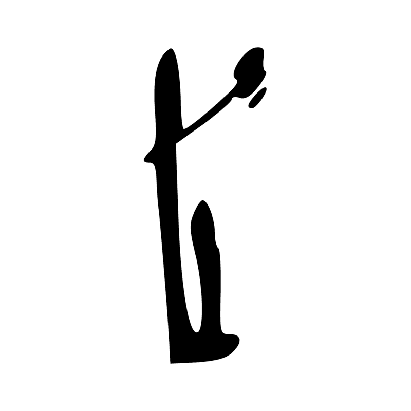 V36 — Boîte à papyrus