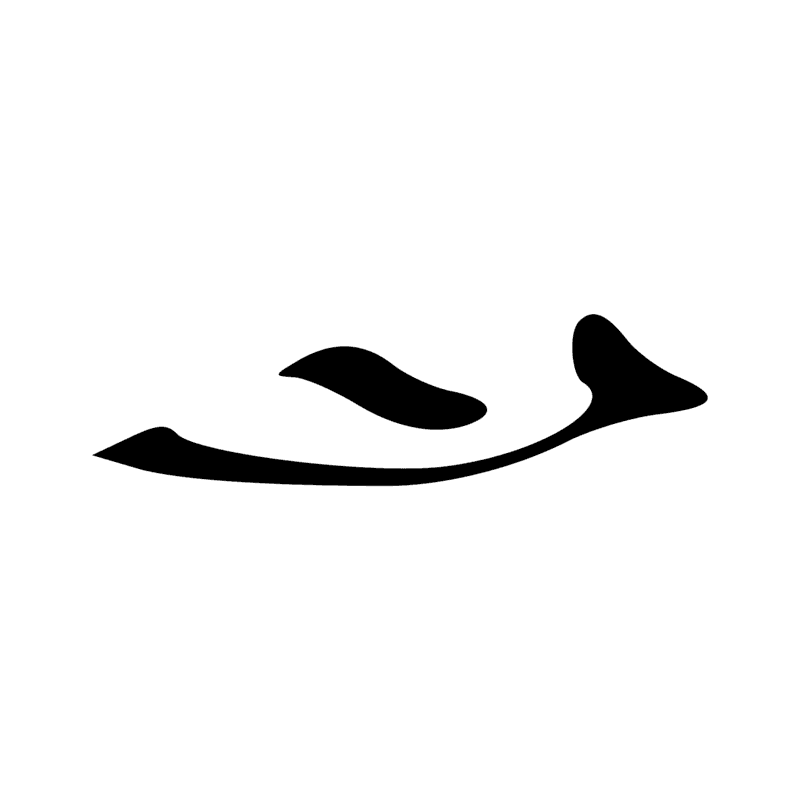 D4 — Oeil
