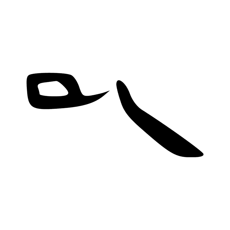 F23 — Membre antérieur de bovin