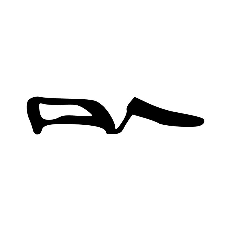 F23 — Membre antérieur de bovin