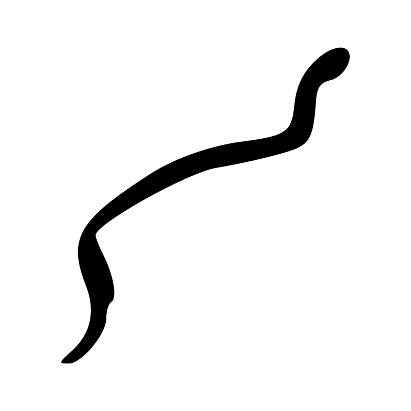 I10 — Cobra