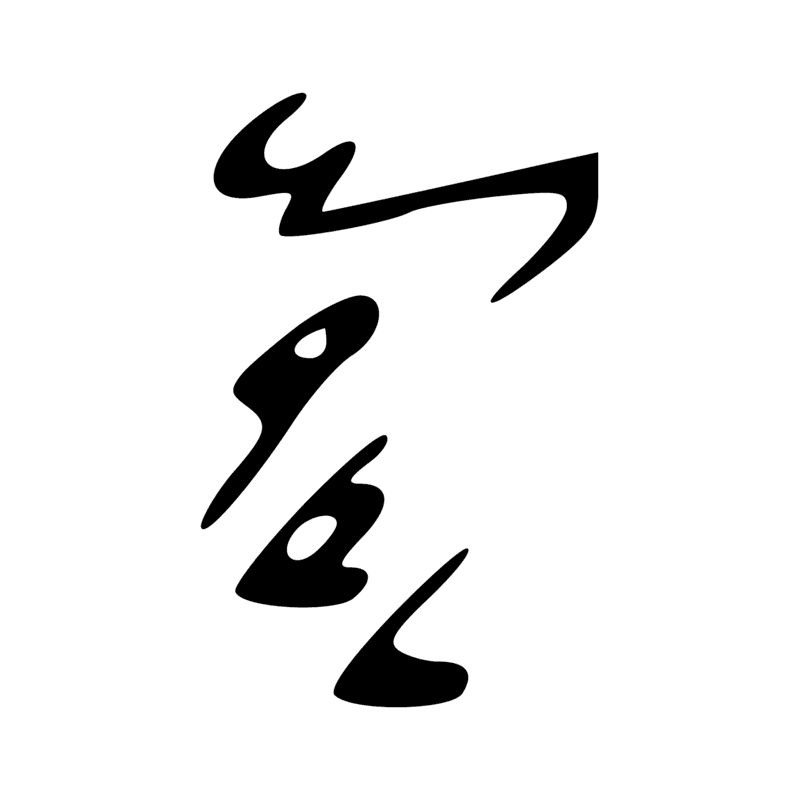 V29 — Balai de fibres