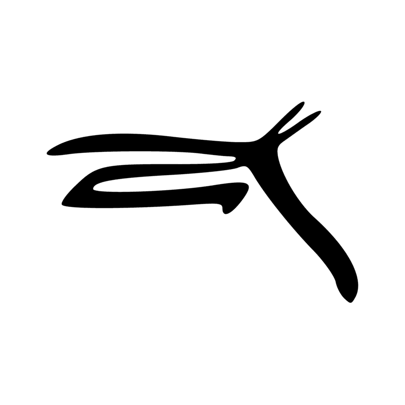 E9 — faon de bubale