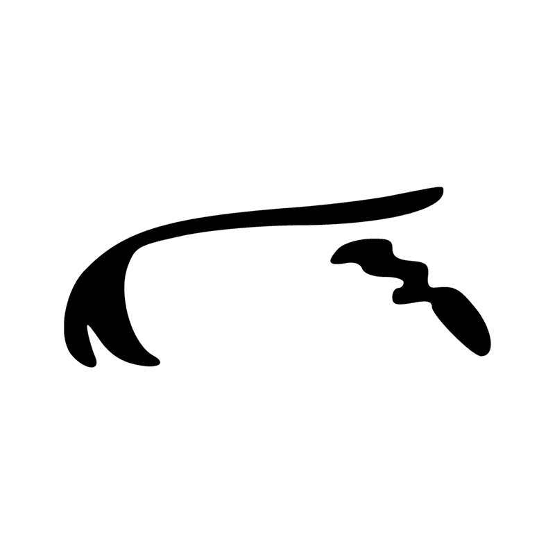 D53 — phallus émettant un liquide