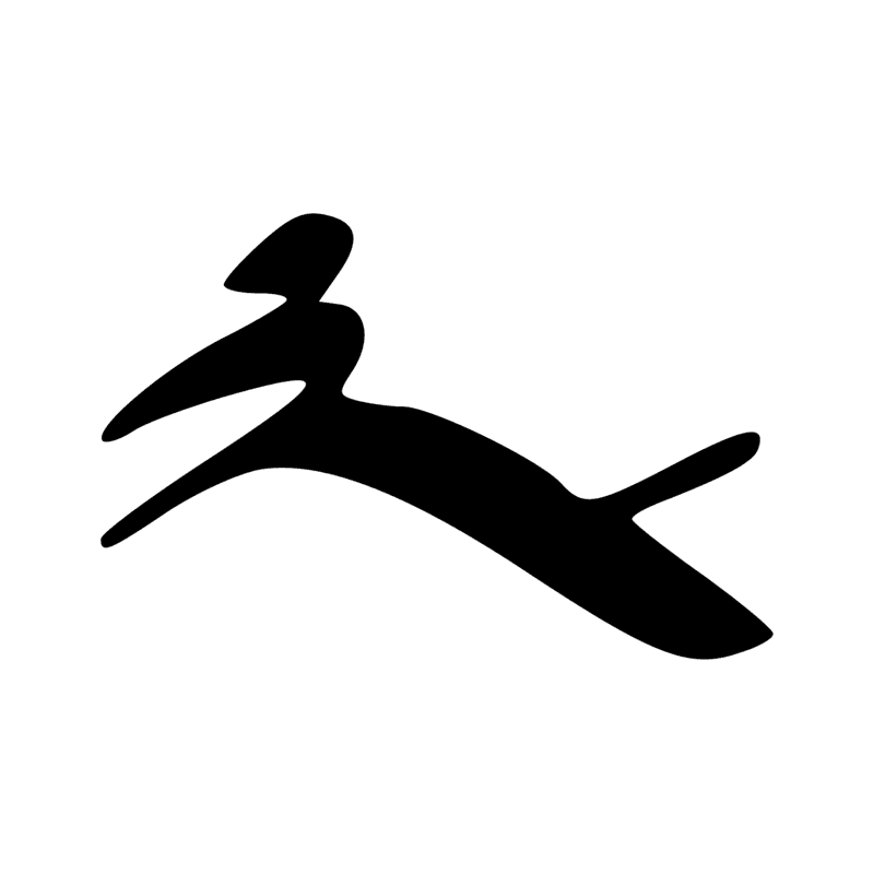 F29 — Peau de bovin percée