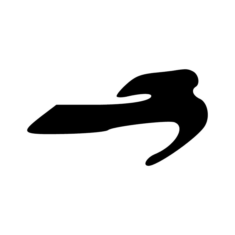 G39 — Canard pilet