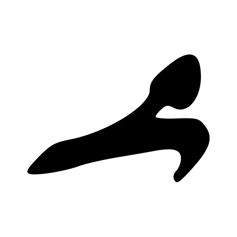 G39 — Canard pilet