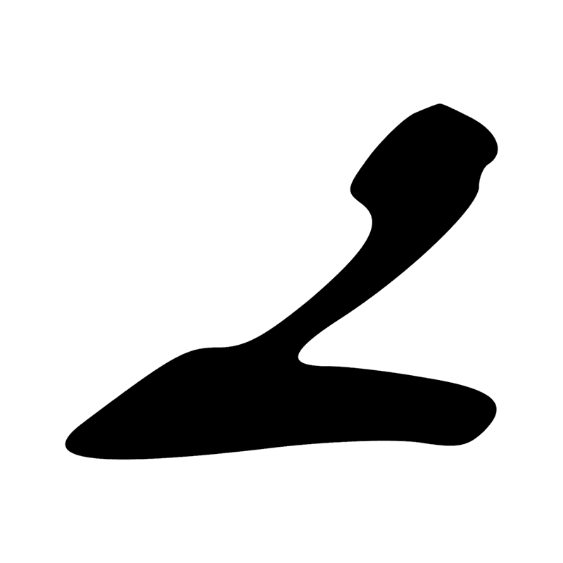 G39 — Canard pilet