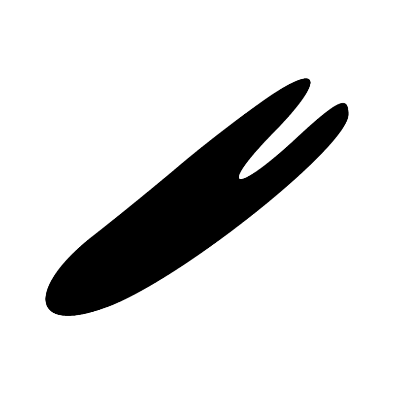 G39 — Canard pilet
