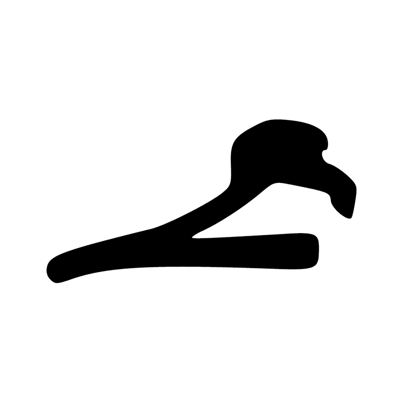 G42 — Canard engraissé