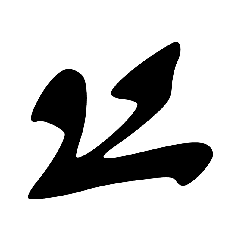 G40 — Canard pilet en vol