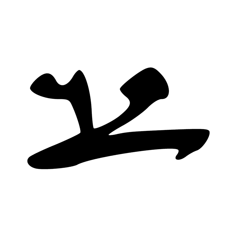 G41 — canard pilet en vol