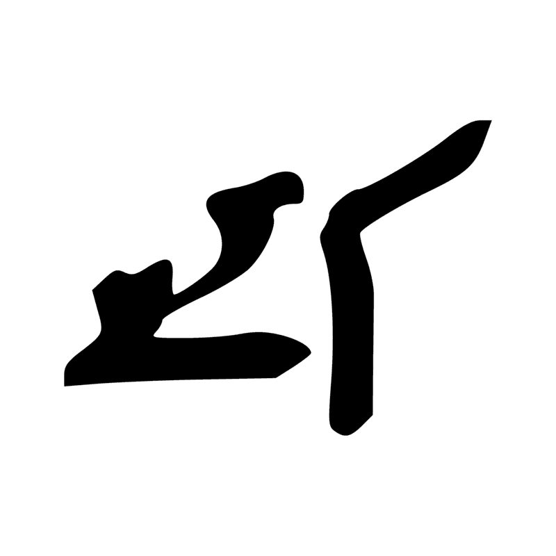 G41 — canard pilet en vol