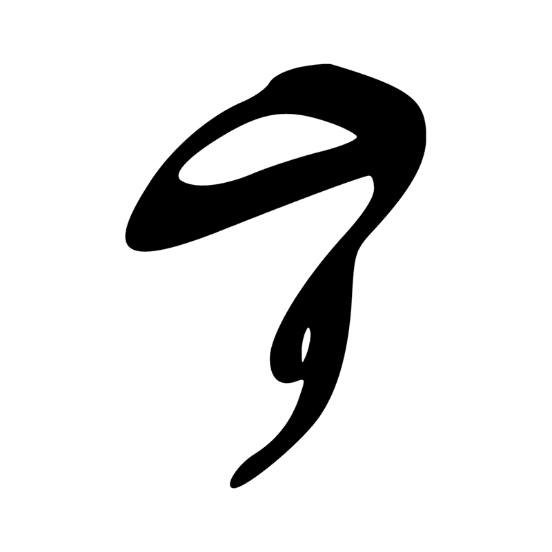 G54 — Oie troussée