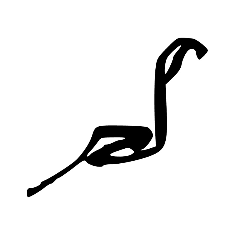 I12 — Cobra dressé