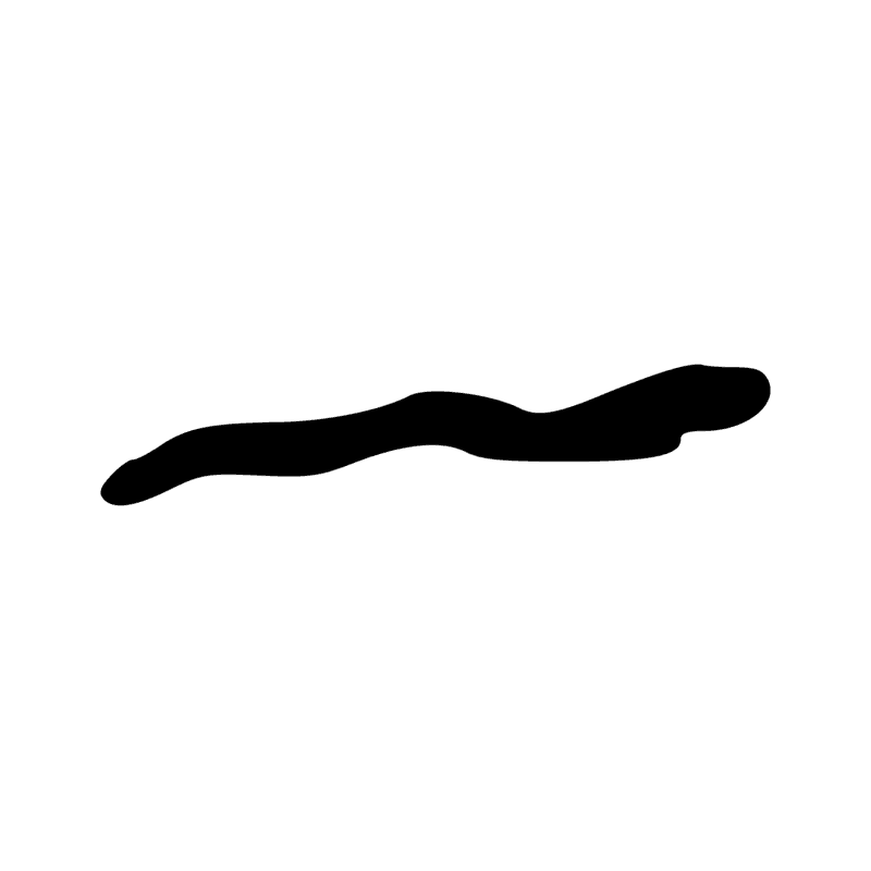 I14 — Serpent ondulant