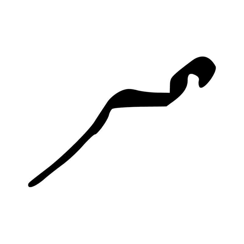I14 — Serpent ondulant