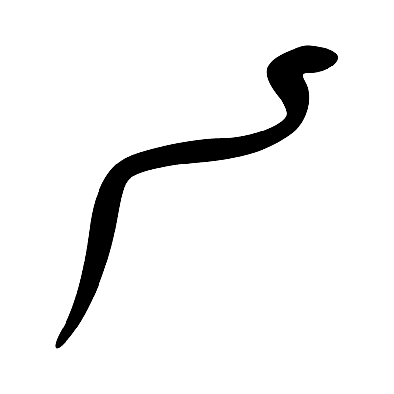 I10 — Cobra