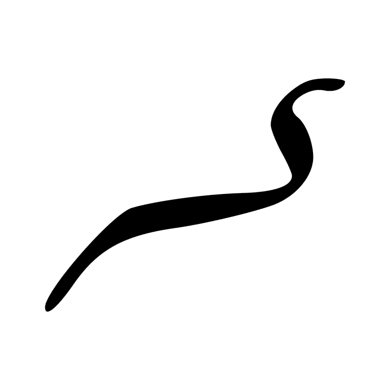 I10 — Cobra